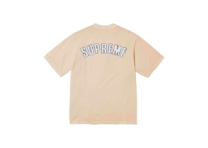SUPREME 24SS CRACKED ARC SS TOP